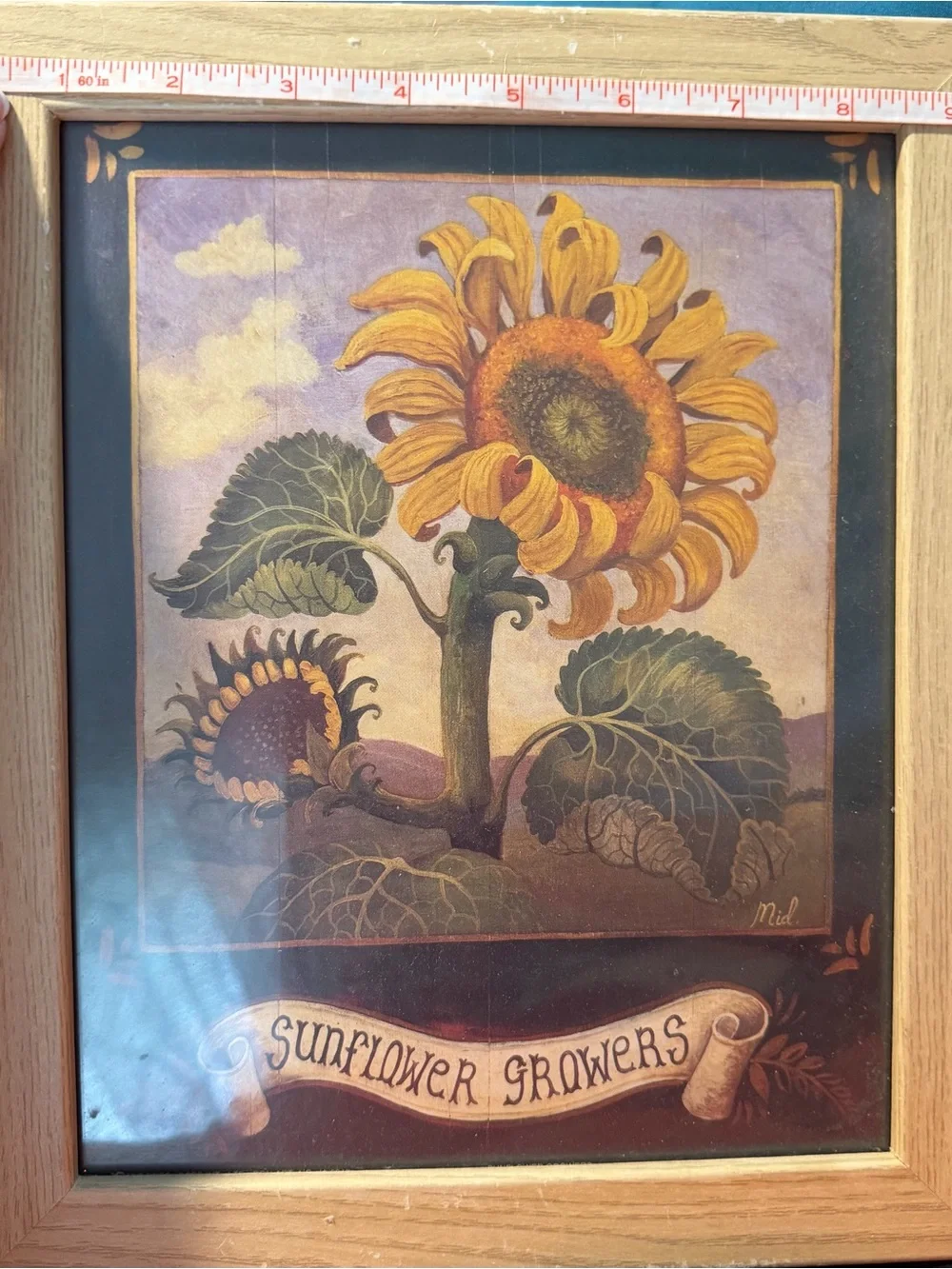 Sunflower Growers Framed Art - 1 Yellow & 2 Green pictures